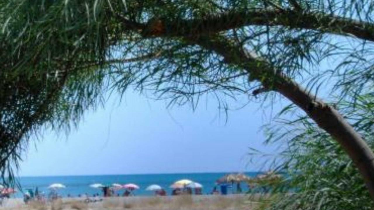 Casa Vacanze " Mela " Nova Siri Eksteriør billede